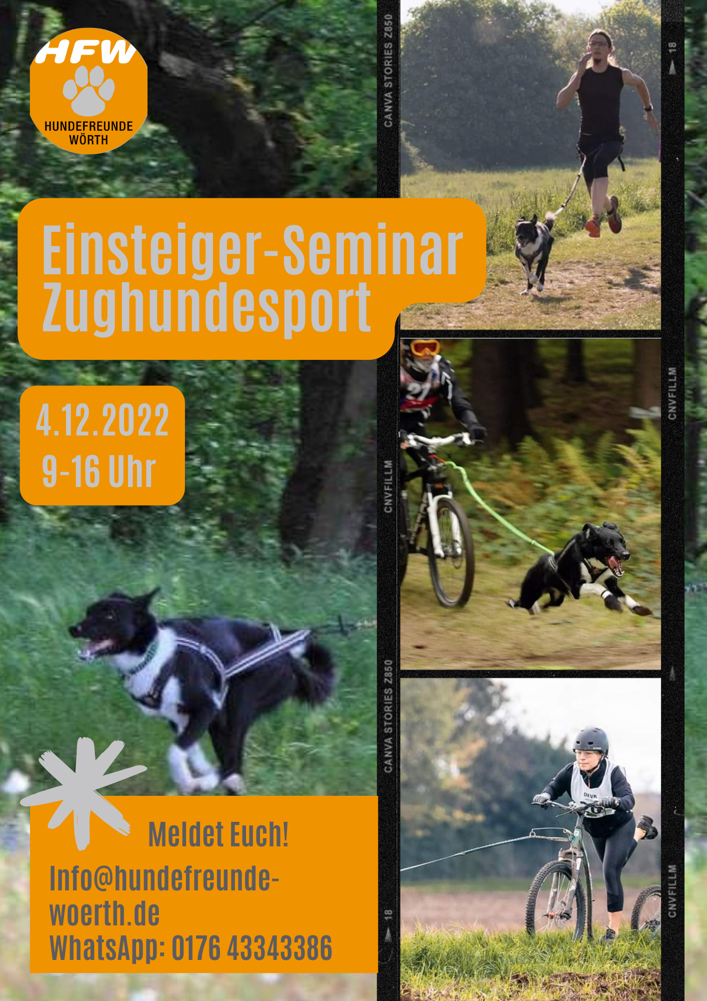 Seminar Zughundesport – Dogscooter und Bike